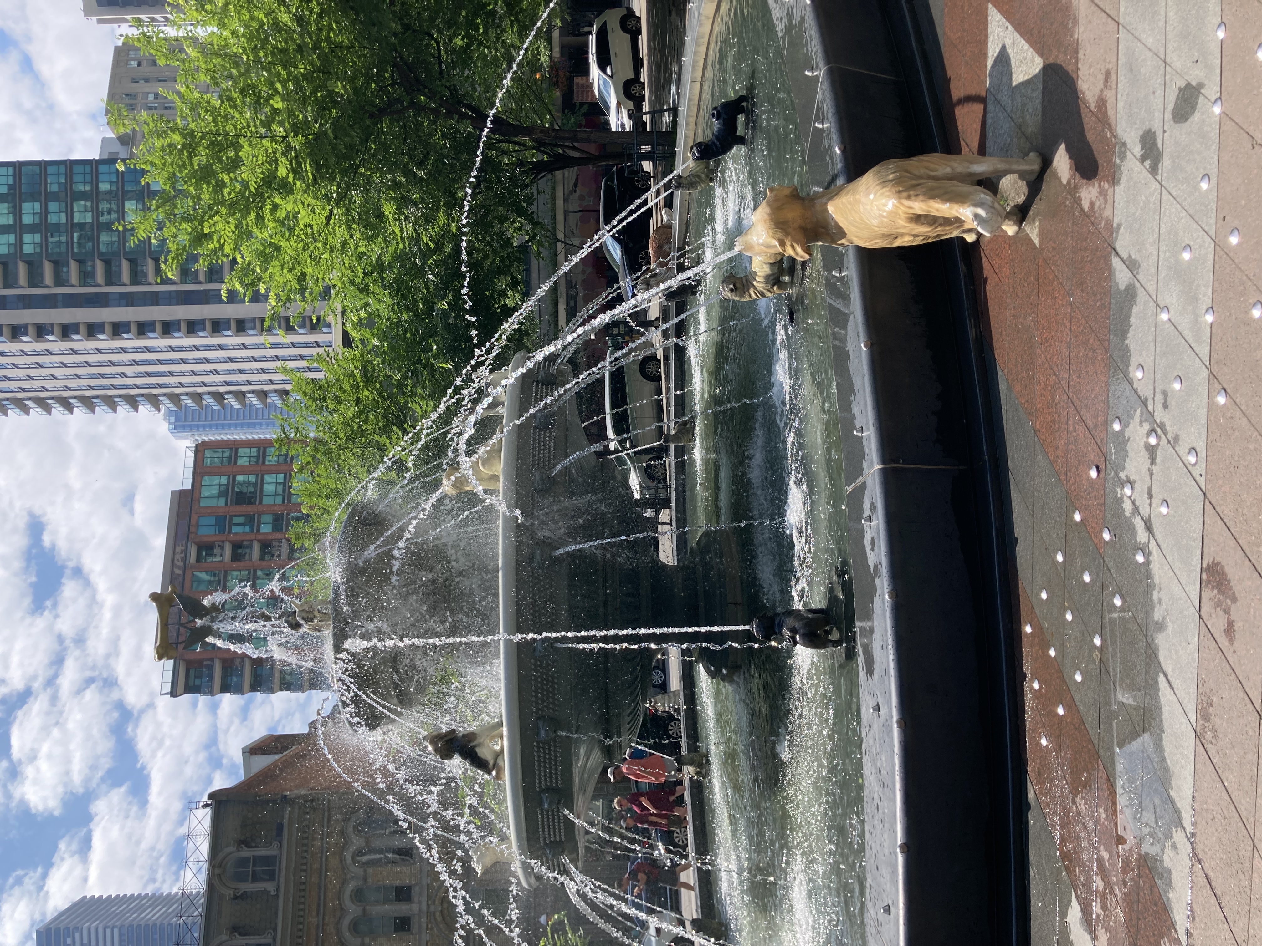 Toronto dog fountain with dog